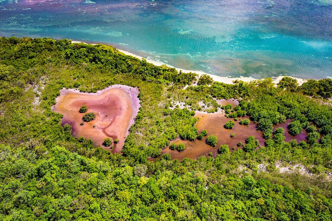 France, Caribbean, Lesser Antilles, Guadeloupe, Grand Cul-de-Sac Marin, heart of the Guadeloupe National Park, aerial view of the Gris-Gris Cove, its heart-shaped marsh in the mangrove of the Gaschet River, the beach and the lagoon\n