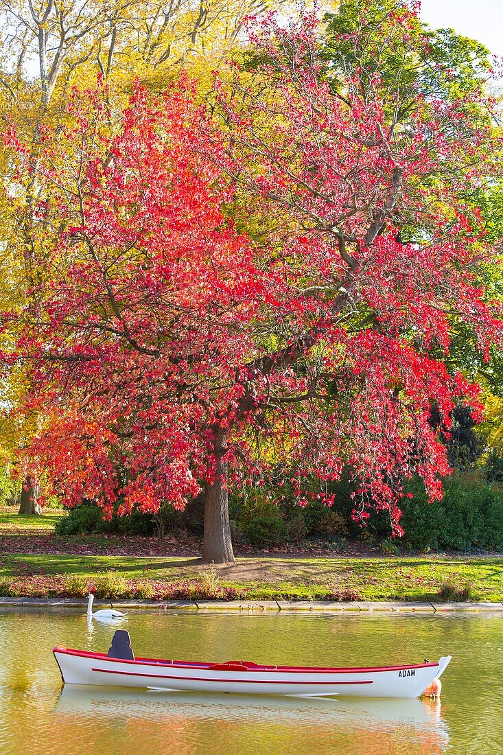 Frankreich, Paris, der Bois de Vincennes, der See Daumesnil im Herbst