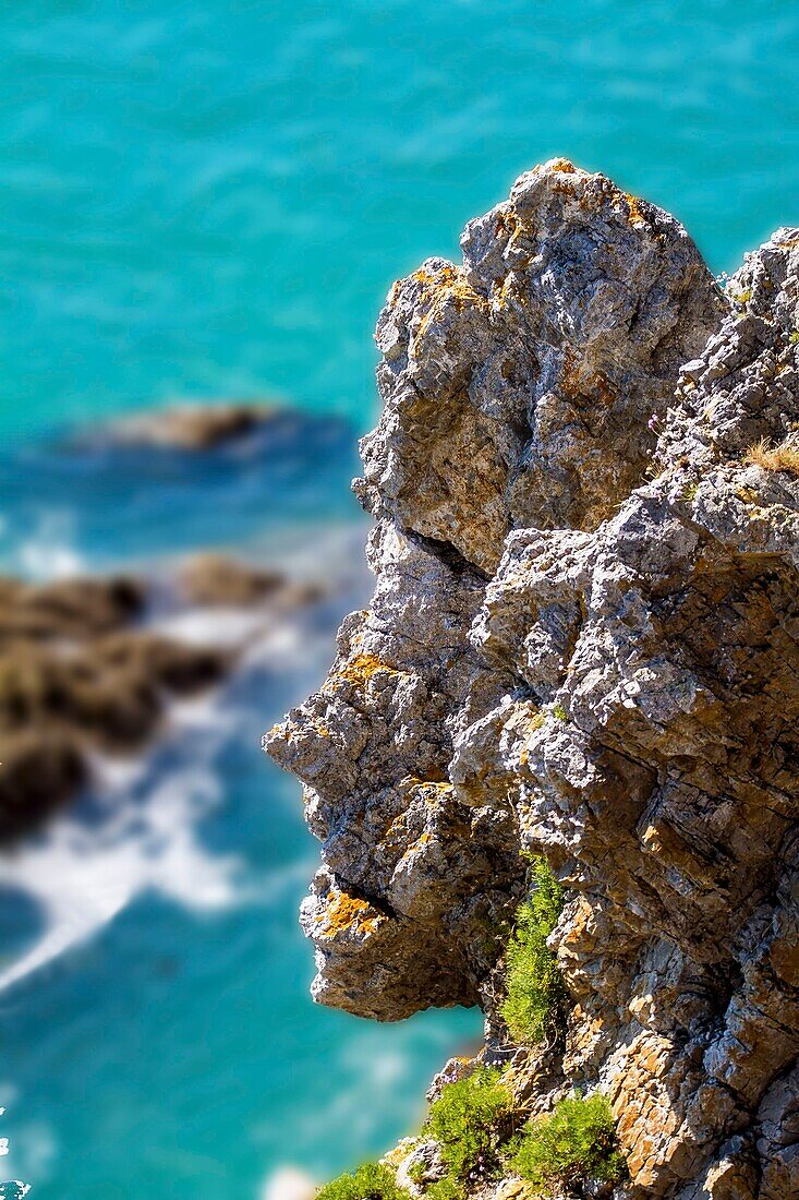 France, Finistere, Presqu'i?le de Crozon, rock in the shape of a face profile at the Pointe de Morgat in Saint Hernot\n