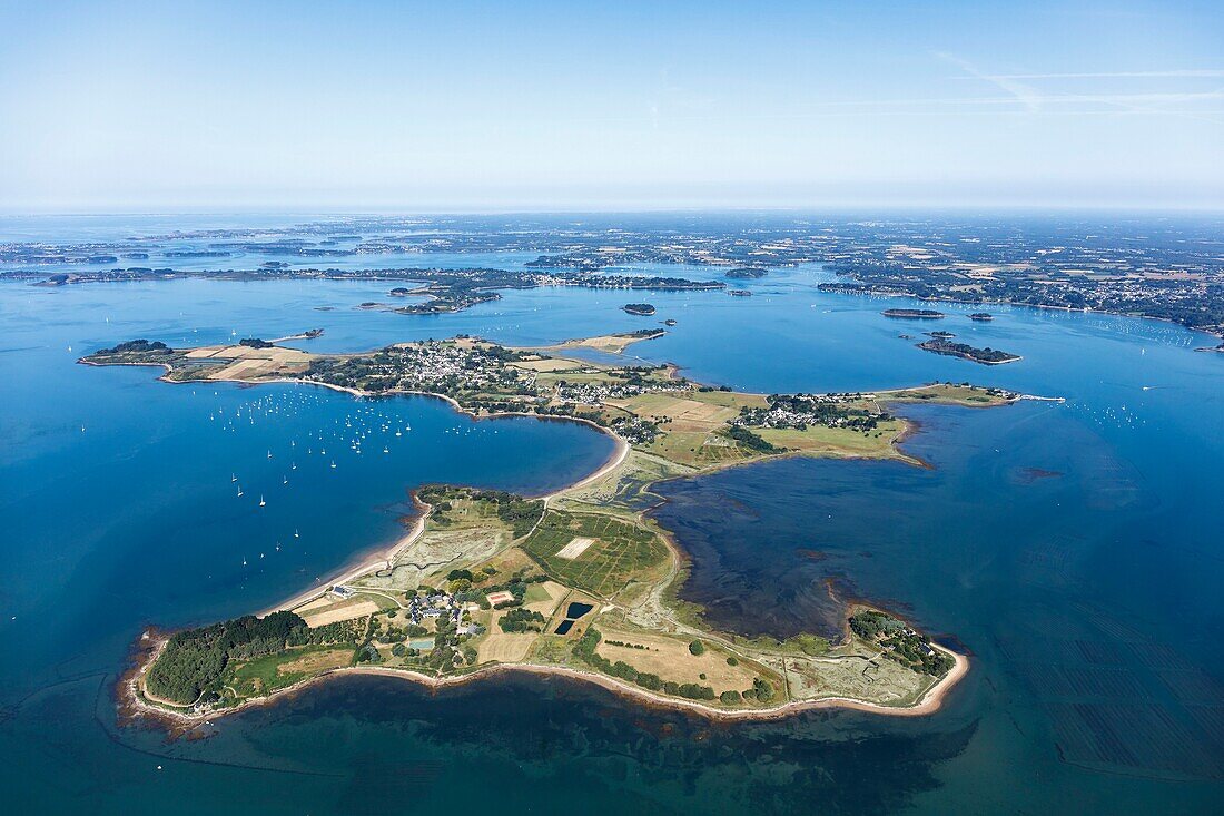 France, Morbihan, Gulf of Morbihan, Arz island (aerial view)\n