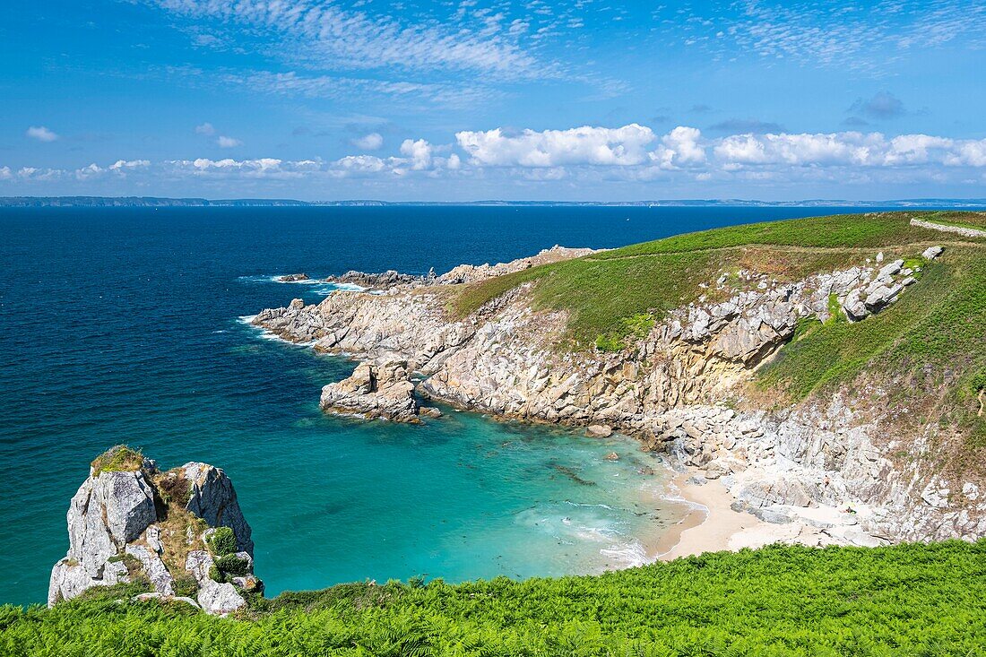 France, Finistere, Beuzec-Cap-Sizun, Pointe de Trénaouret along the GR 34 hiking trail or customs trail\n