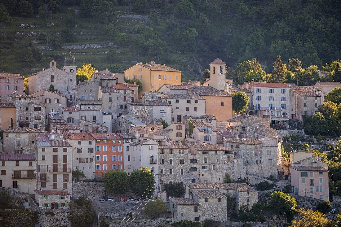 France, Alpes Maritimes, Parc Naturel Regional des Prealpes d'Azur, Cheiron monuntain, Coursegoules\n