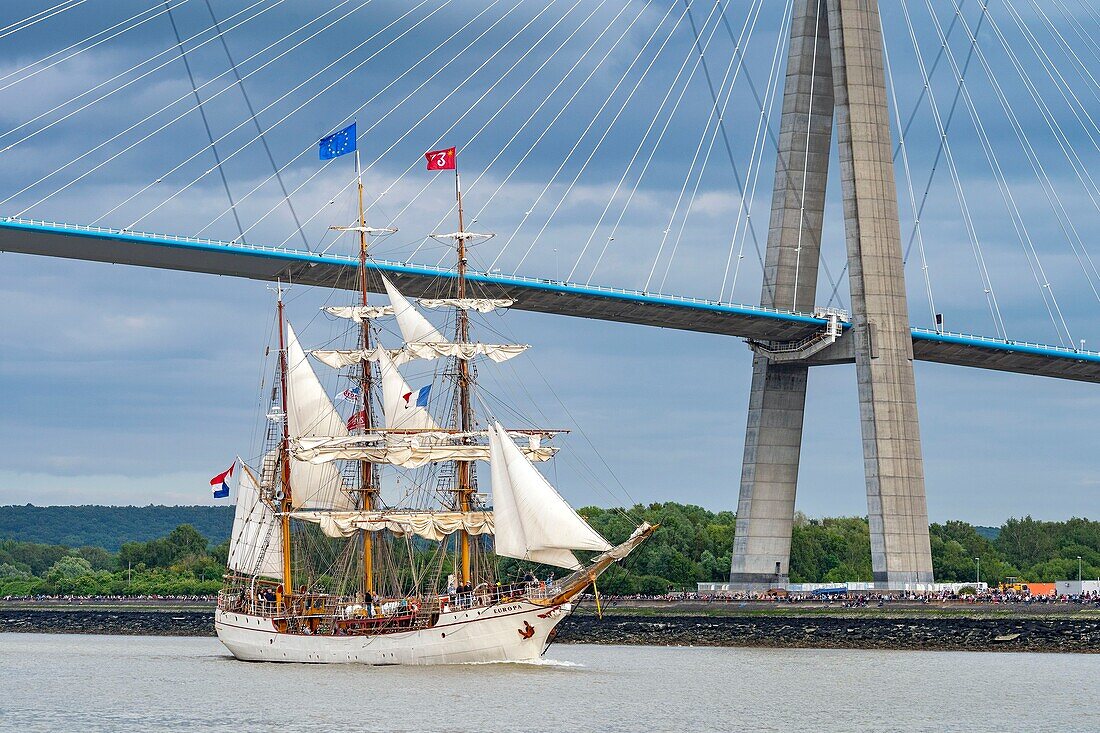 Frankreich, Calvados, Honfleur, Armada von Rouen 2019, Durchfahrt des Segelschiffs Europa unter der Brücke der Normandie
