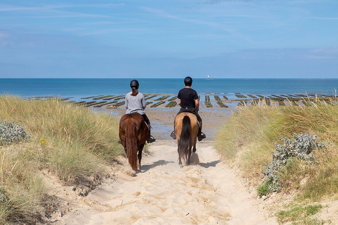 France, Manche, Cotentin, Gouville sur Mer, horse riders\n