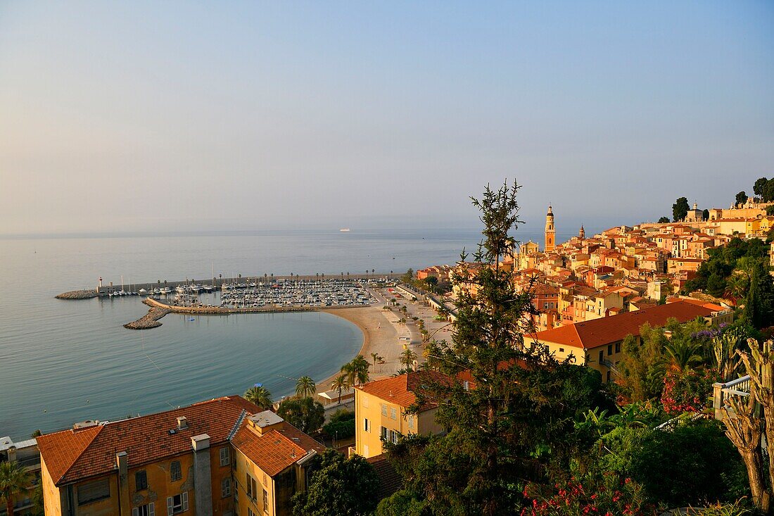 Frankreich, Alpes Maritimes, Côte d'Azur, Menton, der Hafen und die von der Basilika Saint Michel Archange beherrschte Altstadt