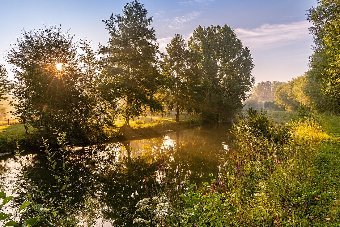 France, Somme, Valley of the Somme, Long, the banks of the Somme in the early morning, along the river\n