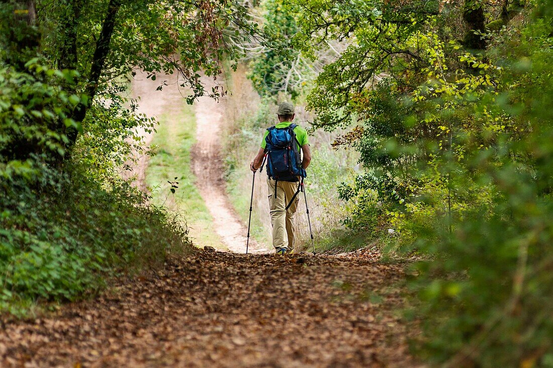 France, Lot, Geopark of Quercy, hiking trail, area of Arcambal village\n