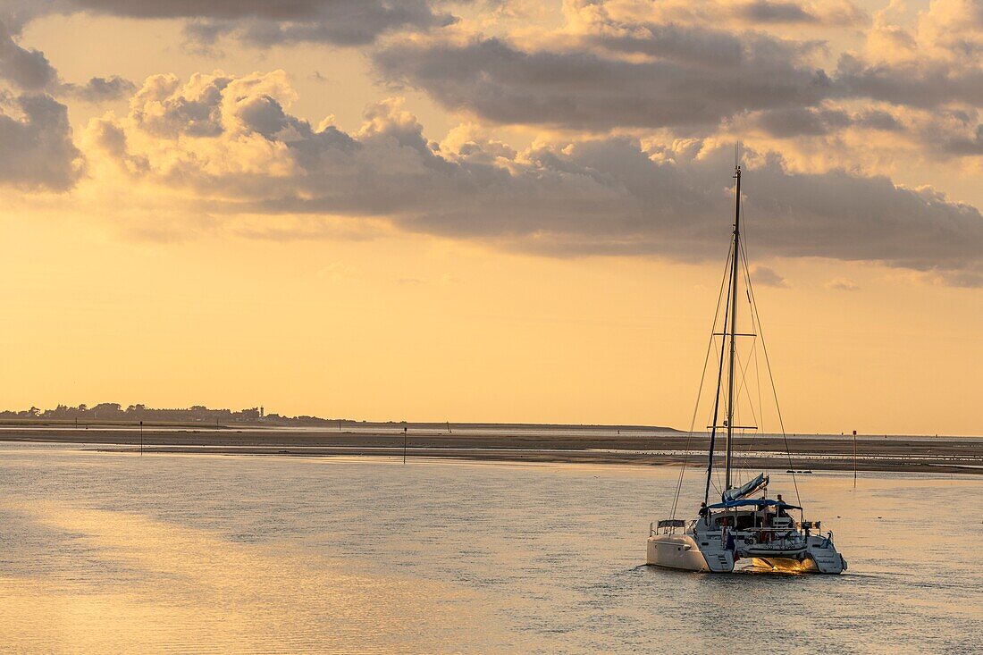 France, Somme, Baie de Somme, Saint-Valery-sur-Somme, The Touloulou sailboat leaves the port in the channel of the Somme and takes tourists to sea at sunset\n