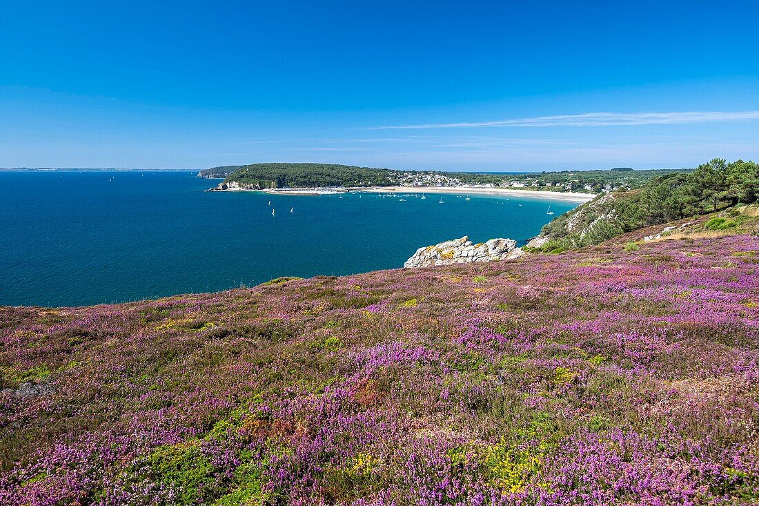 France, Finistere, Armorica Regional Natural Park, Crozon Peninsula, Anse de Morgat\n