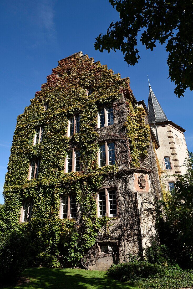France, Haut Rhin, Kientzheim, castle, park side, facade dated 17th century, gable, sculpture representing Lazare de Schwendi who built the castle\n