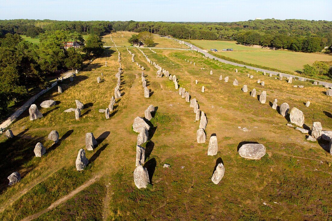 France, Morbihan, Carnac, row of megalithic standing stones at Kermario (aerial view)\n