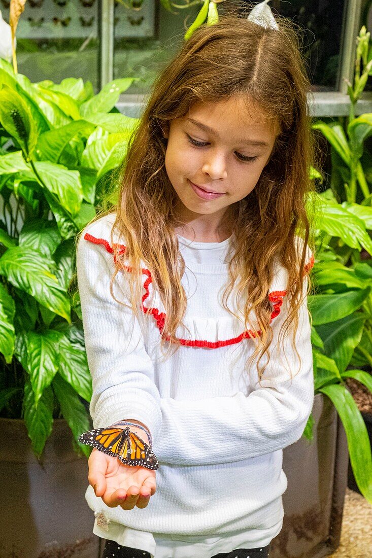 Frankreich, Paris, Parc de la Villette, Stadt der Wissenschaft und Industrie, die Stadt der Kinder von 5-12 Jahren, das Schmetterlingsgewächshaus