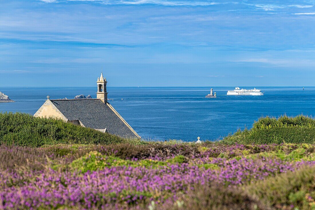 France, Finistere, Cleden-Cap-Sizun, Pointe du Van, Saint-They chapel and La Vieille lighthouse in the background\n