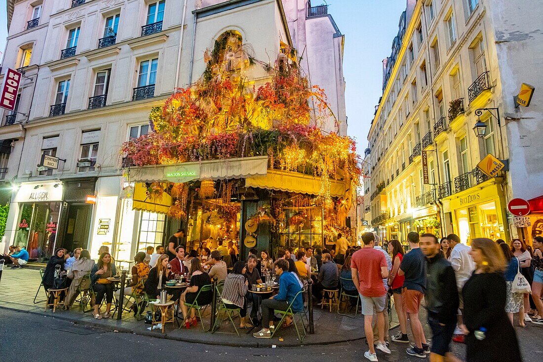 France, Paris, Rue Saint Sabin, the cafe la Maison Sauvage\n