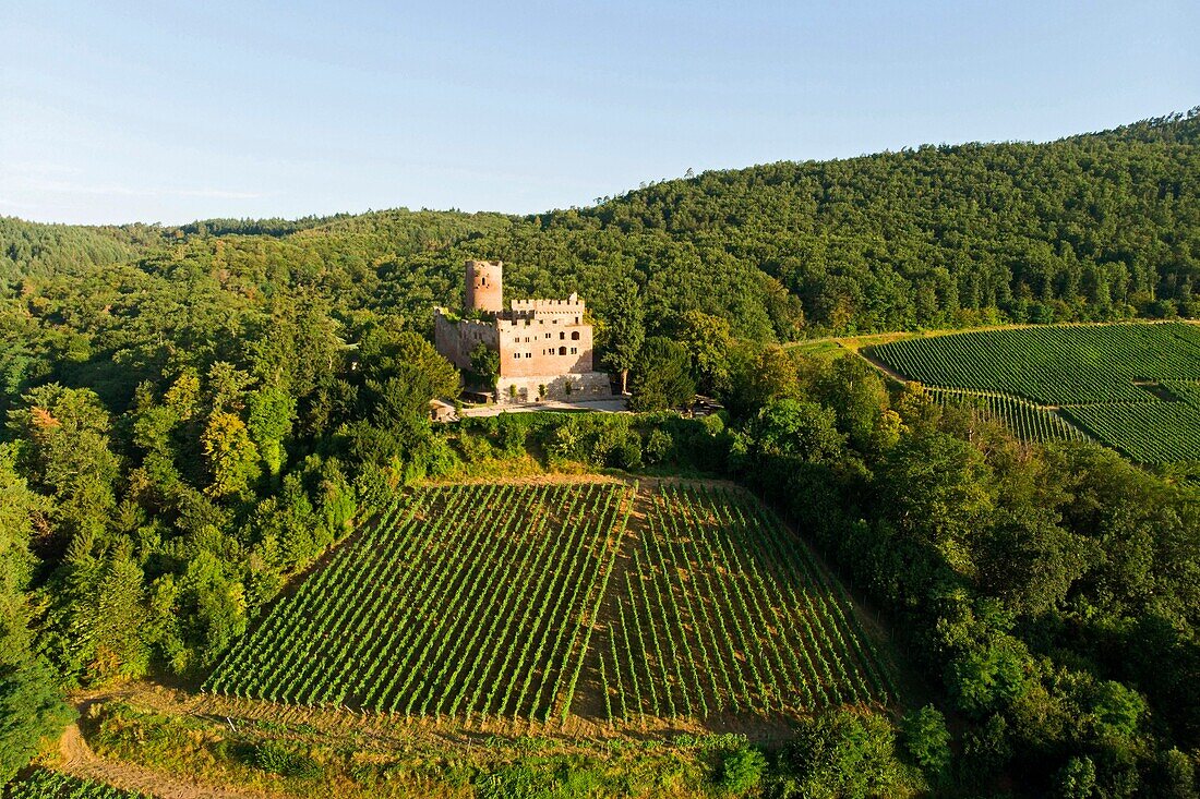France, Bas Rhin, Alsace Wine Road, Kintzheim Castle (aerial view)\n