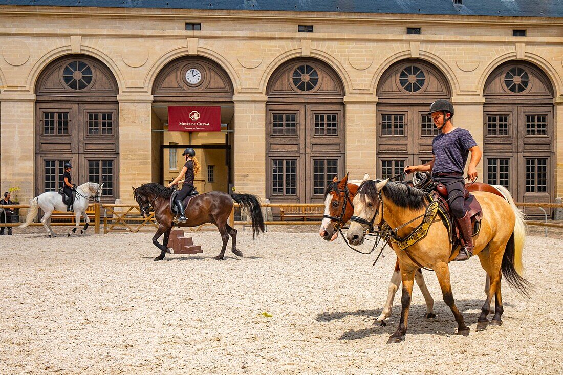 France, Oise, Chantilly, Chantilly Castle, the Great Stables, last rehearsals in the carousel before the show: Once upon a time ... the Great Stables on the occasion of the Tercentenary of the Great Stables\n