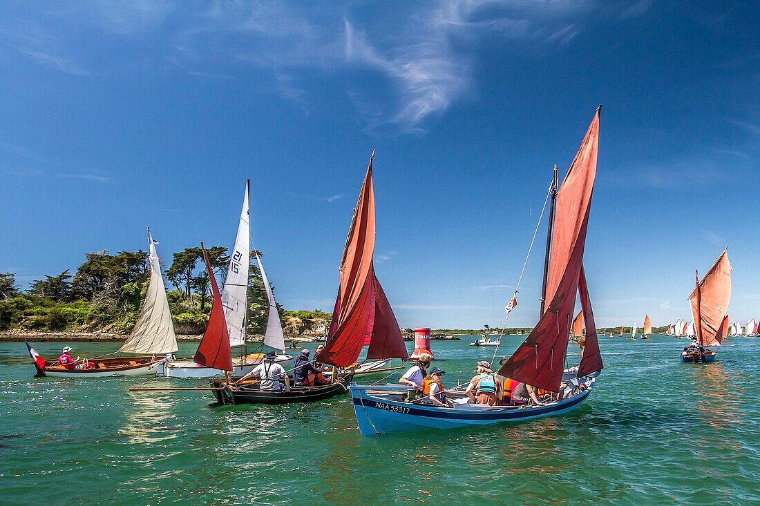 France, Morbihan, Gulf of Morbihan, Baden, skiffs and old rigs in the Gulf of Morbihan, Gulf Week, 2019 edition\n