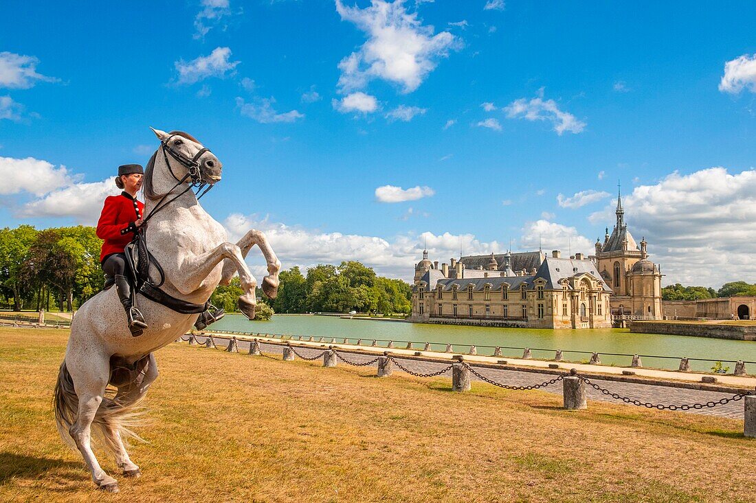France, Oise, Chantilly, Chateau de Chantilly, the Grandes Ecuries (Great Stables), Estelle, rider of the Grandes Ecuries, makes up his horse in front of the castle\n