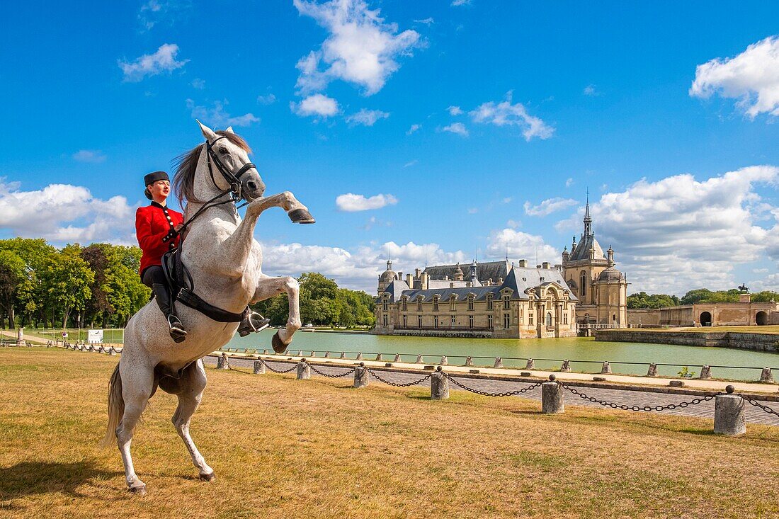 Frankreich, Oise, Chantilly, das Schloss von Chantilly, die Grandes Ecuries, Estelle, Reiterin der Grandes Ecuries, schmückt ihr Pferd vor dem Schloss
