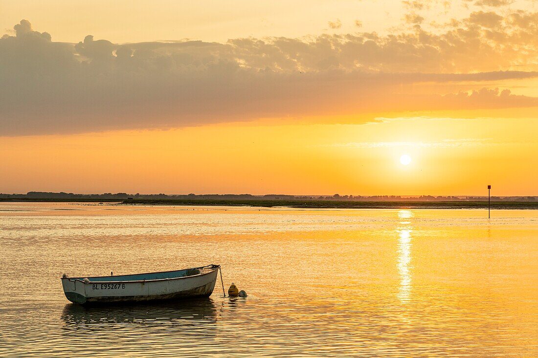 France, Somme, Somme Bay, Saint Valery sur Somme, Cape Hornu, a boat in the channel of the Somme at dawn\n