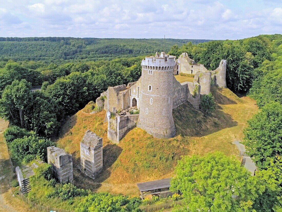 France, Seine Maritime, Moulineaux, Robert Le Diable castle (aerial view)\n