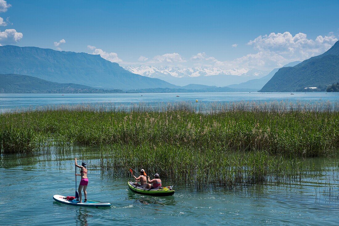 France, Savoie, Lake Bourget, Aix les Bains, Riviera of the Alps, canoe and paddle at the mouth of the canal de Savieres\n