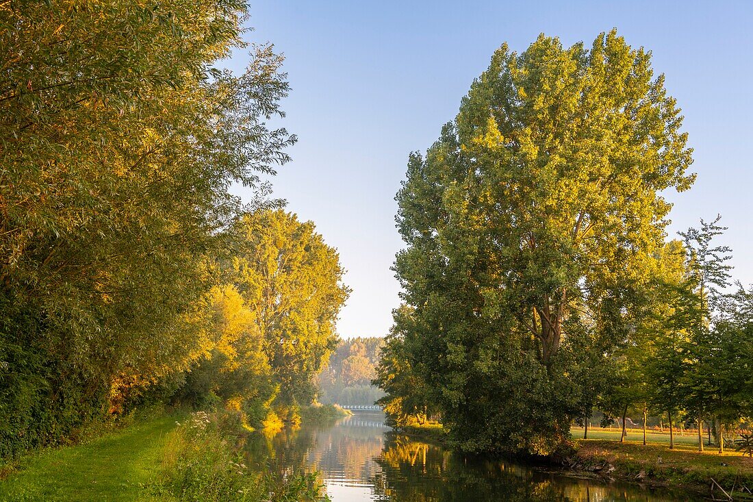 Frankreich, Somme, Tal der Somme, Lang, die Ufer der Somme am frühen Morgen, entlang des Flusses