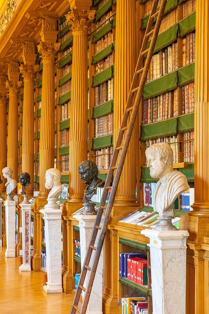 Frankreich, Paris, Tage des Kulturerbes, das Institut de France, die Bibliothek von Mazarine