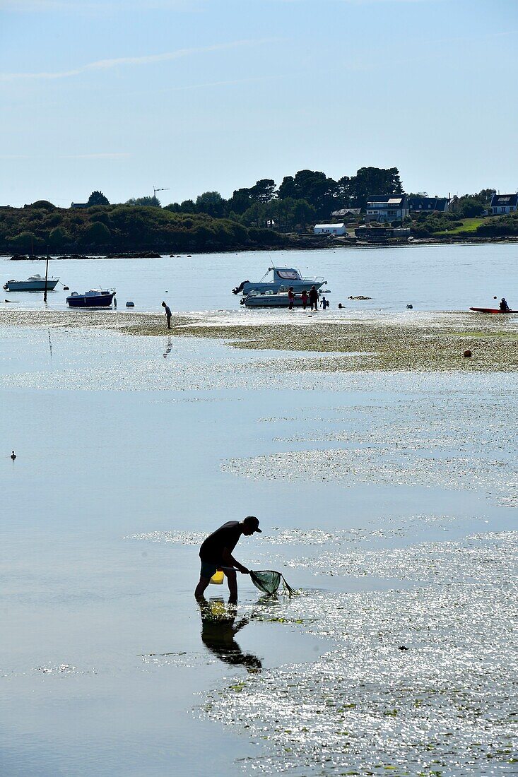 France, Morbihan, Belz, Etel river, Saint Cado island\n