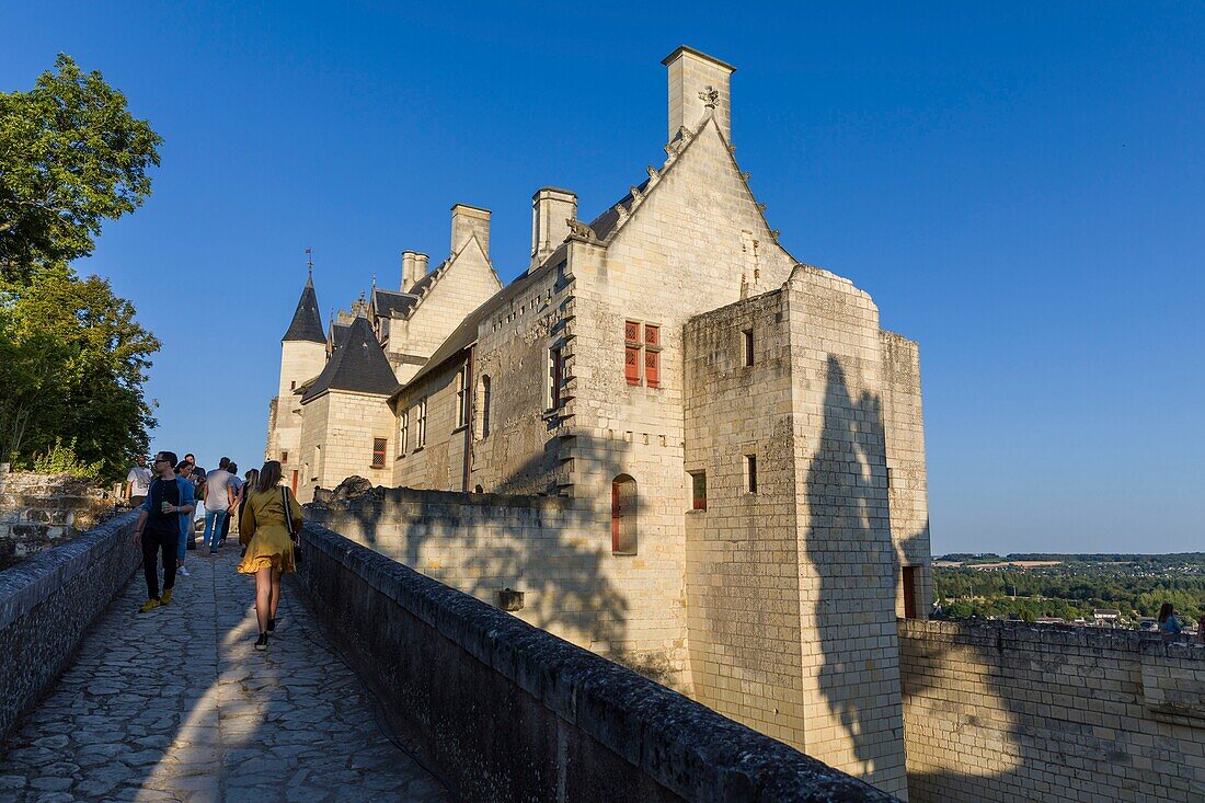 Frankreich, Indre et Loire, Loire-Tal, von der UNESCO zum Weltkulturerbe erklärt, Schloss Chinon, mittelalterlicher Stil, königliche Festung von Chinon, die königliche Residenz, vom Innenhof aus
