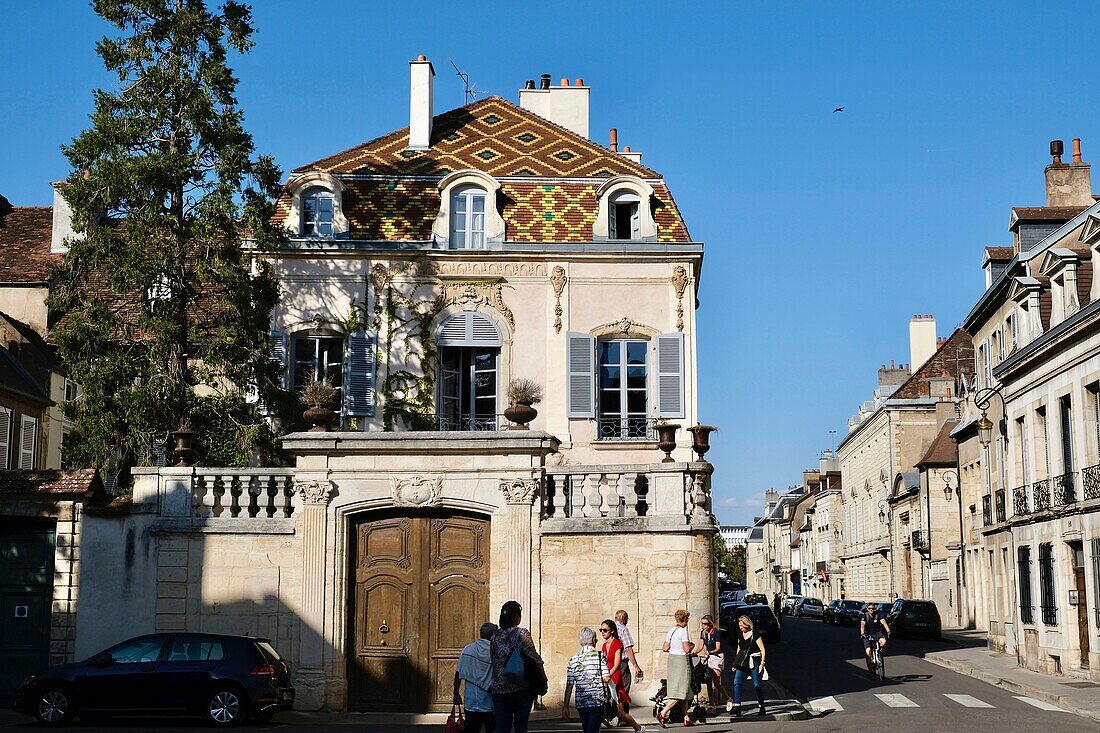 France, Cote d'Or, Dijon, area listed as World Heritage by UNESCO, private mansion with glazed tile from Burgundy\n