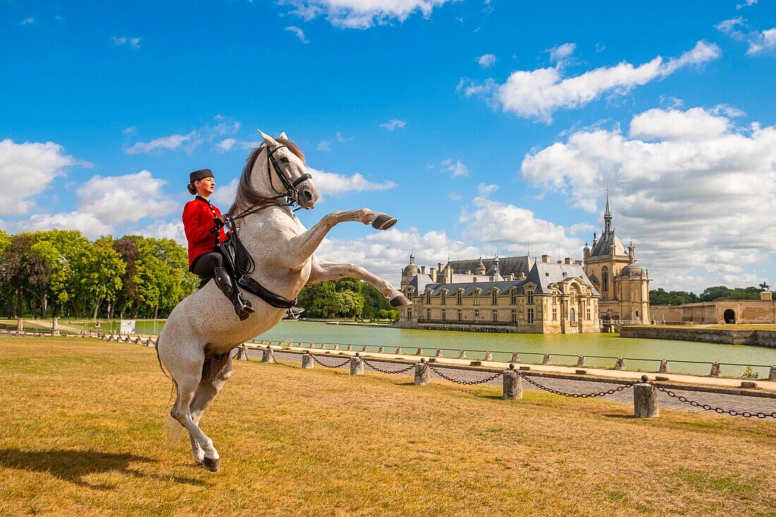Frankreich, Oise, Chantilly, Chateau de Chantilly, die Grandes Ecuries (Große Ställe), Estelle, Reiterin der Grandes Ecuries, macht ihr Pferd vor dem Schloss zurecht