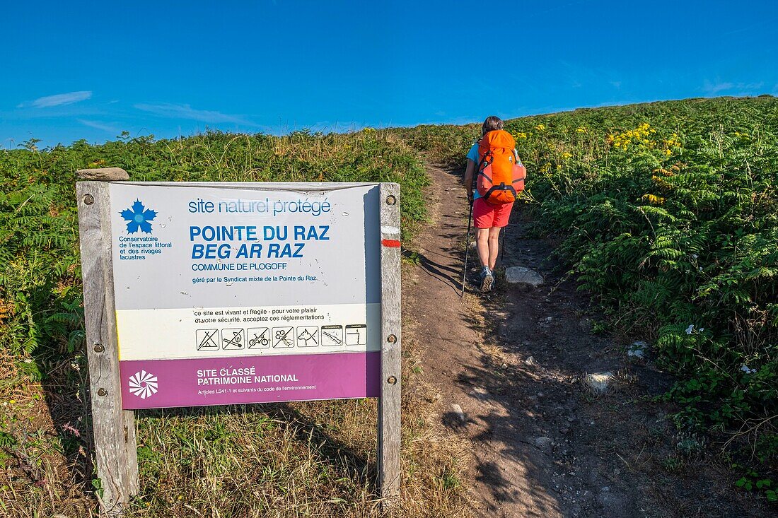 France, Finistere, Plogoff, along the GR 34 hiking trail or customs trail towards Pointe du Raz\n