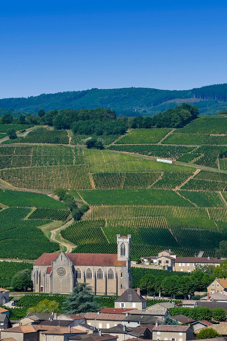 Frankreich, Saone et Loire, Fuisse, Dorf am Fuße der Weinberge an den Hängen