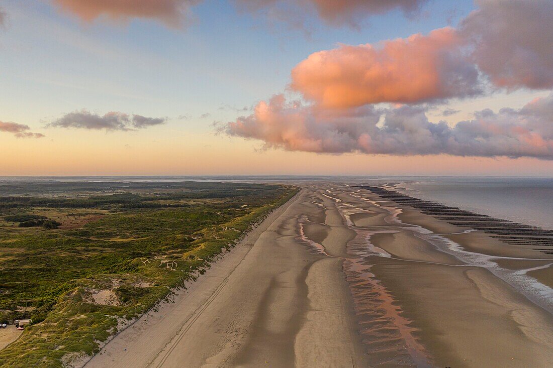 Frankreich, Somme, Marquenterre, Quend-Plage, der Strand von Quend-Plage, mit Fort-Mahon und der Authie-Bucht auf der einen Seite und der Somme-Bucht und den Bouchot-Muschelfarmen auf der anderen Seite (Luftaufnahme) (Luftaufnahme)