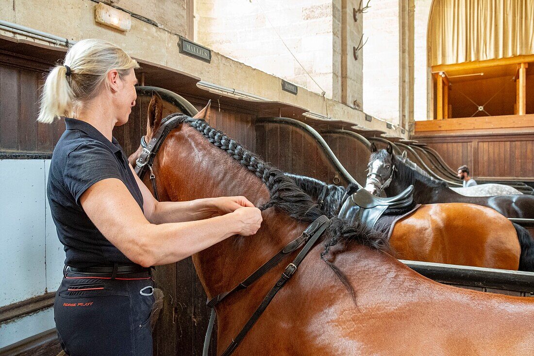 Frankreich, Oise, Chantilly, Schloss Chantilly, die großen Ställe, Sophie Bienaimé, Reiterin und künstlerische Leiterin macht die Matten für ihr Pferd