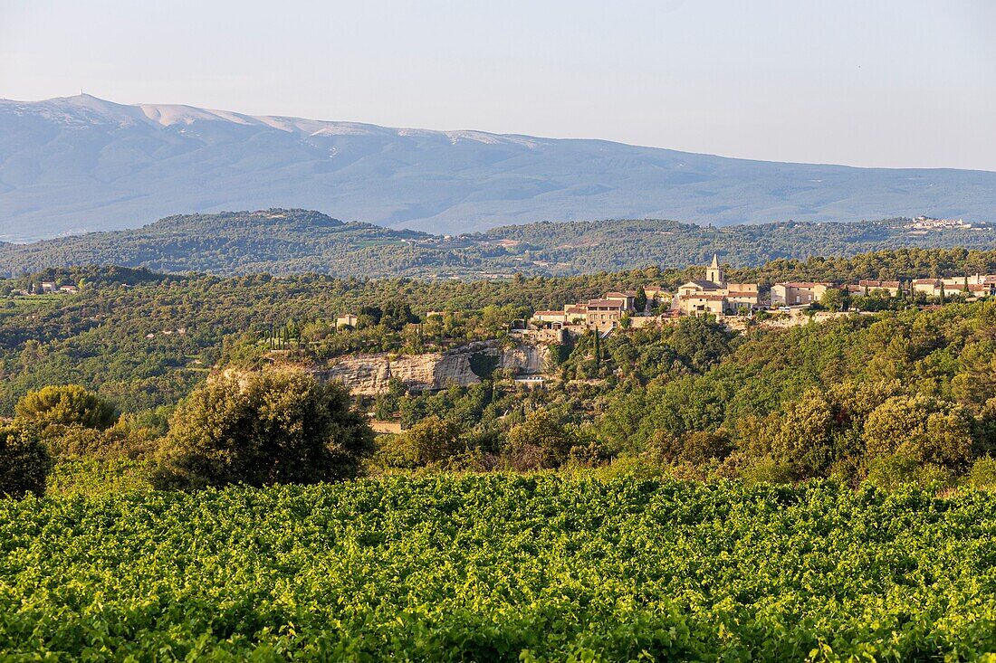Frankreich, Vaucluse, Venasque, ausgezeichnet als die schönsten Dörfer Frankreichs, Mont Ventoux im Hintergrund