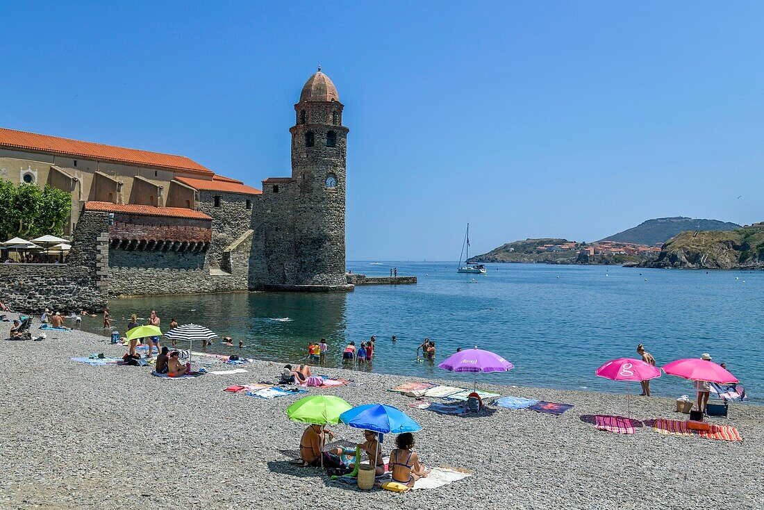 France, Pyrenees Orientales, Collioure, vacationers under parasols on Boramar Beach with Our Lady of Angels church from the 17th century in the background\n
