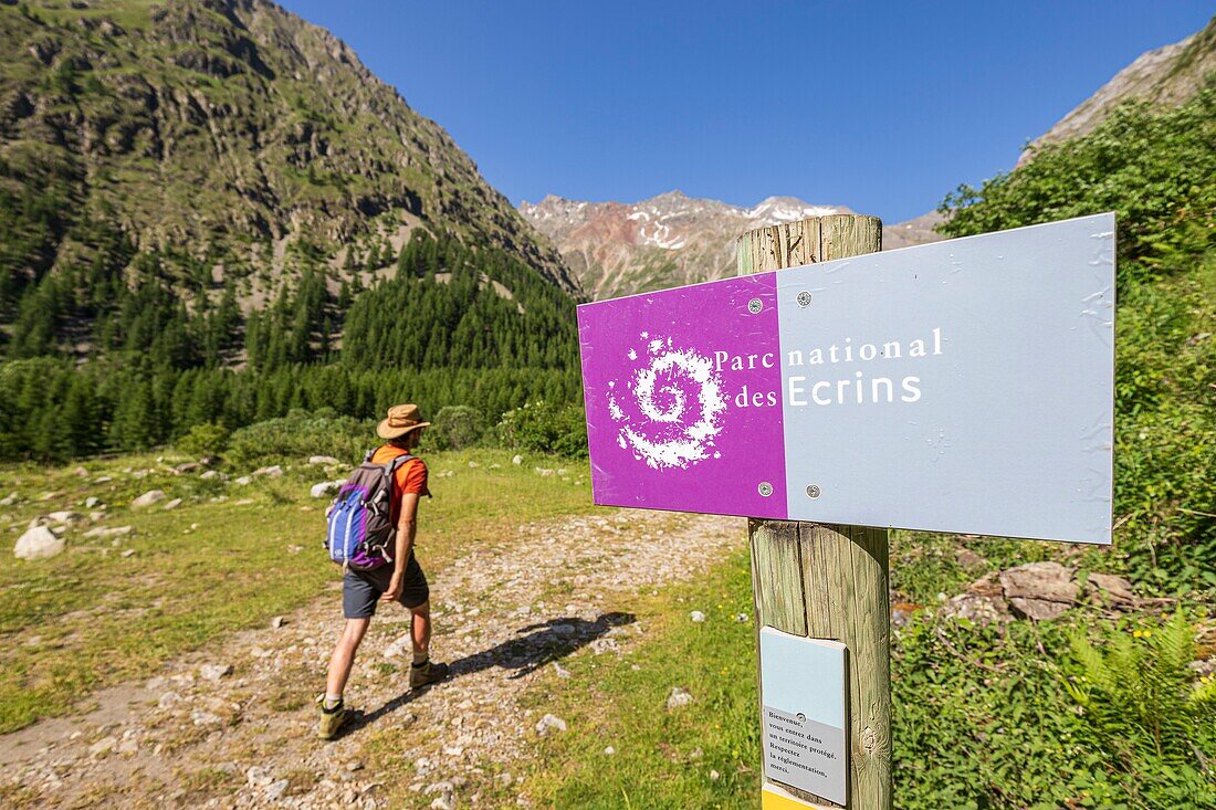 France, Hautes Alpes, Ecrins National Park, Champsaur Valley, Drac Valley of Champoléon, hiking on the GR Country Trail Tour du Vieux Chaillol\n