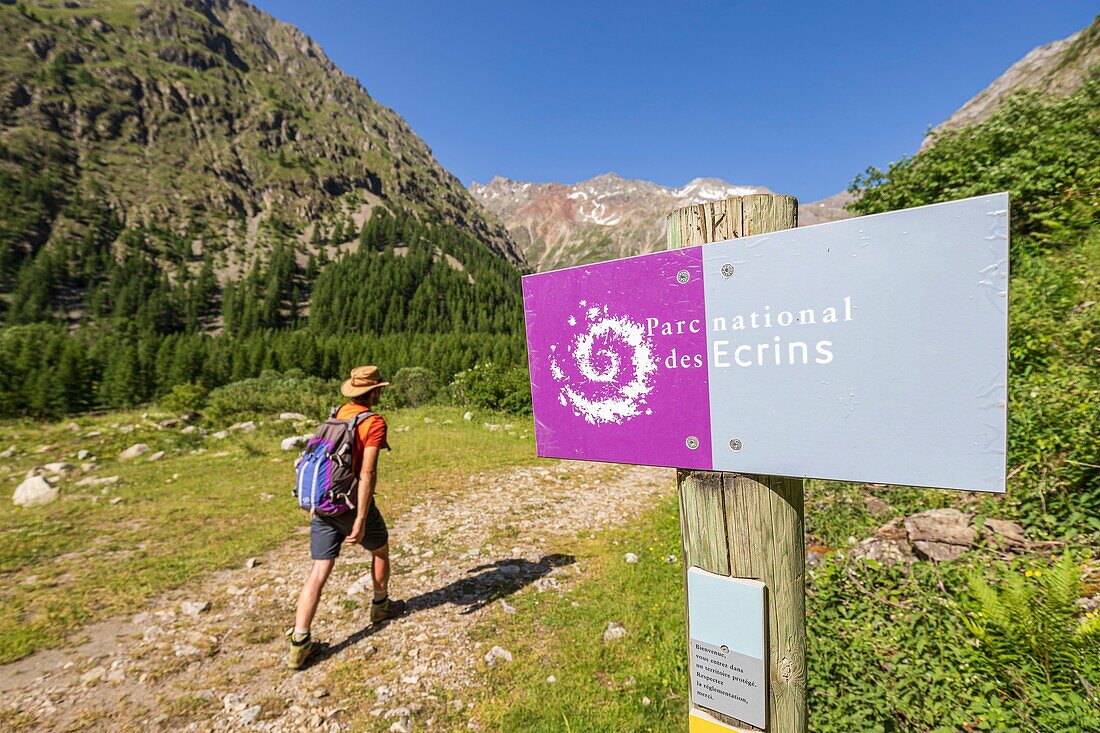 Frankreich, Hautes Alpes, Ecrins-Nationalpark, Champsaur-Tal, Drac-Tal von Champoléon, Wanderung auf dem GR-Country-Trail Tour du Vieux Chaillol