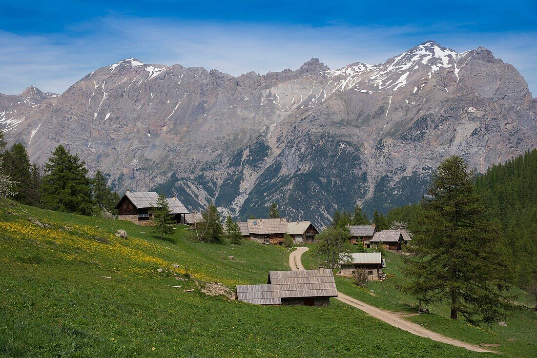 France, Hautes Alpes, massif of Oisans, national park of Ecrins, Vallouise, Puy saint Vincent the hamlets of Narreyroux and its traditional houses with roofs of tavaillons (wooden tiles), the peak of Montbrison and the head of Amont\n