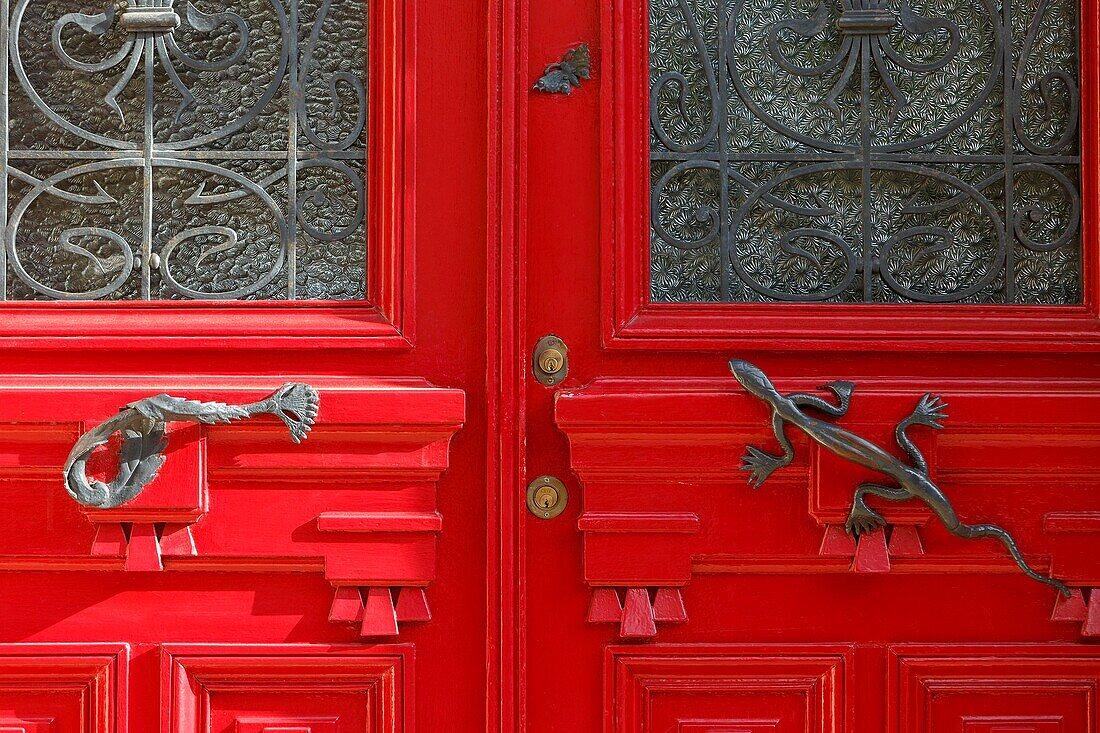 France, Meurthe et Moselle, Nancy, detail of a door in Art Nouveau style in Anatole France avenue\n