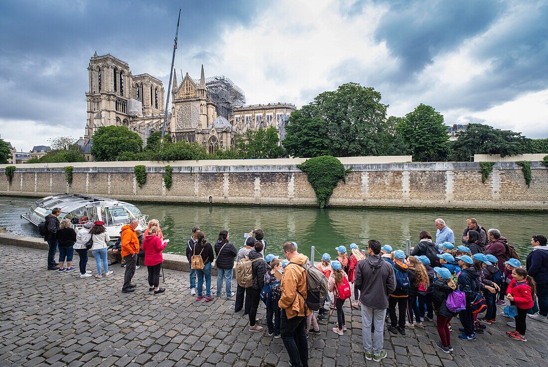 Frankreich, Paris, Ufer der Seine, UNESCO-Weltkulturerbe, Ile de la Cité, Kathedrale Notre-Dame nach dem Brand vom 15. April 2019