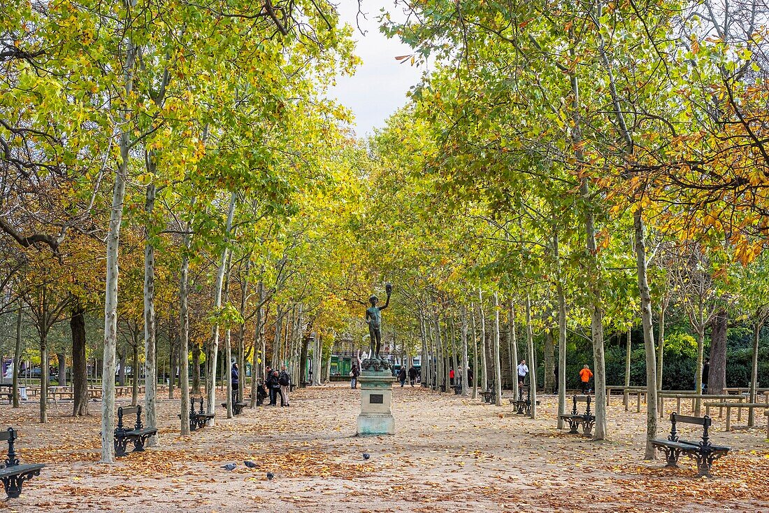 France, Paris, Odeon district, Luxembourg garden in the fall\n