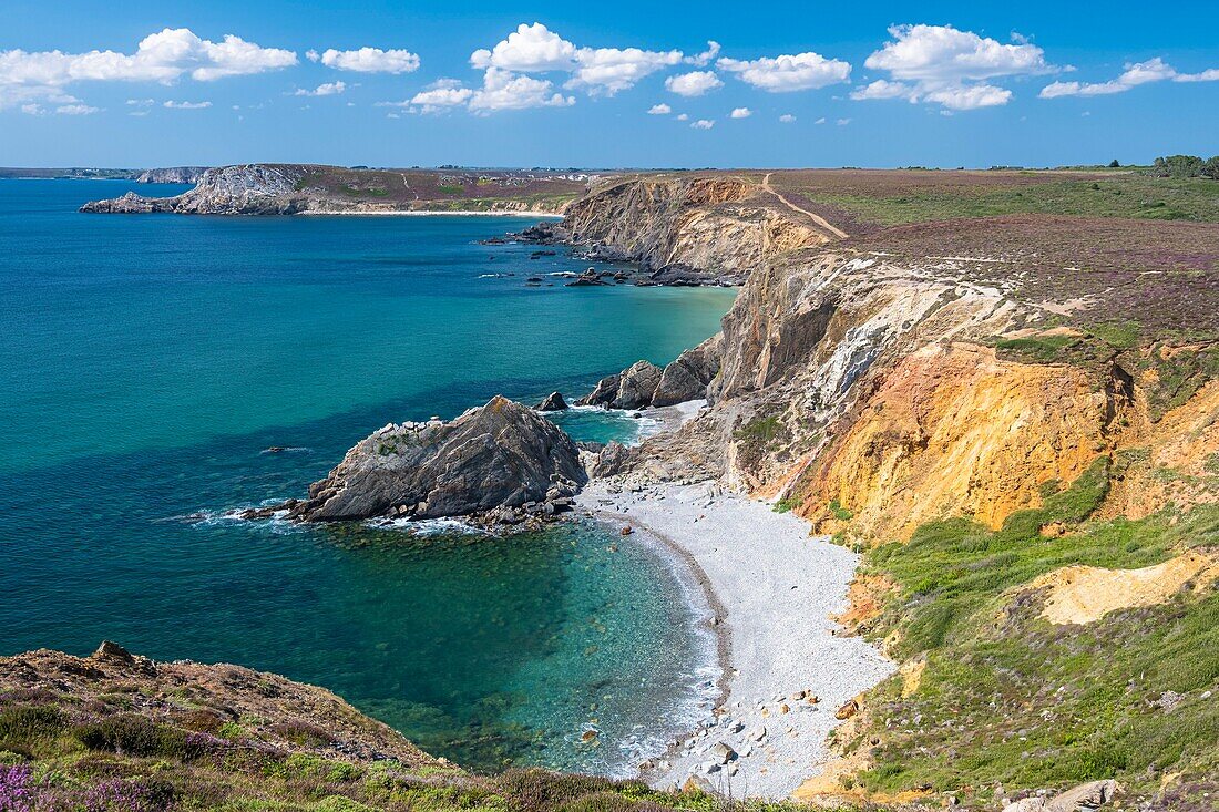 France, Finistere, Armorica Regional Natural Park, Crozon Peninsula, Crozon, the coast between Pointe de Dinan and Cap de la Chèvre\n