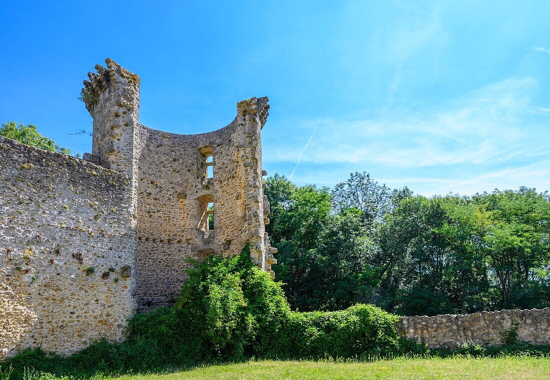 France, Yvelines, haute vallée de Chevreuse natural regional park, Chevreuse, Château de la Madeleine, courtine nord and Aula\n