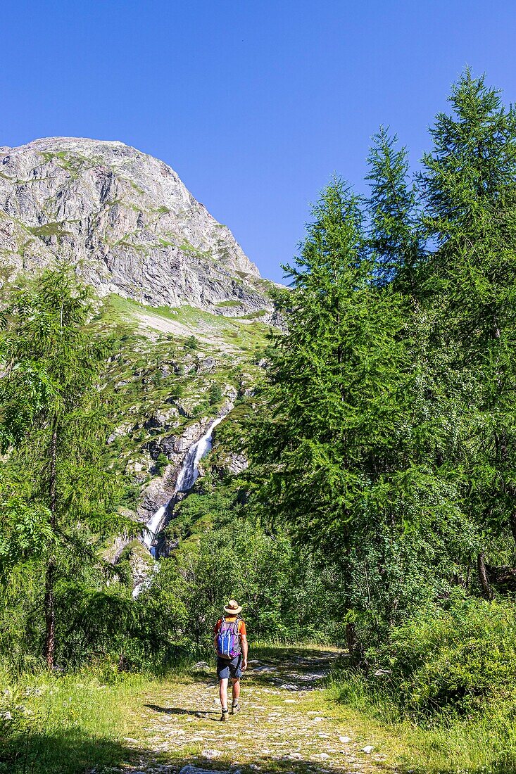 France, Hautes Alpes, Ecrins National Park, Champsaur Valley, Drac Valley of Champoléon, hiking on the GR country trail Tour du Vieux Chaillol, the Prelles waterfall\n