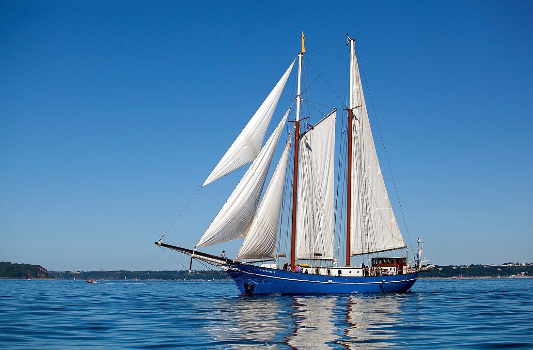 France, Finistère, Brest, STORTEMELK Netherlands Brest International Maritime Festival 2016\n