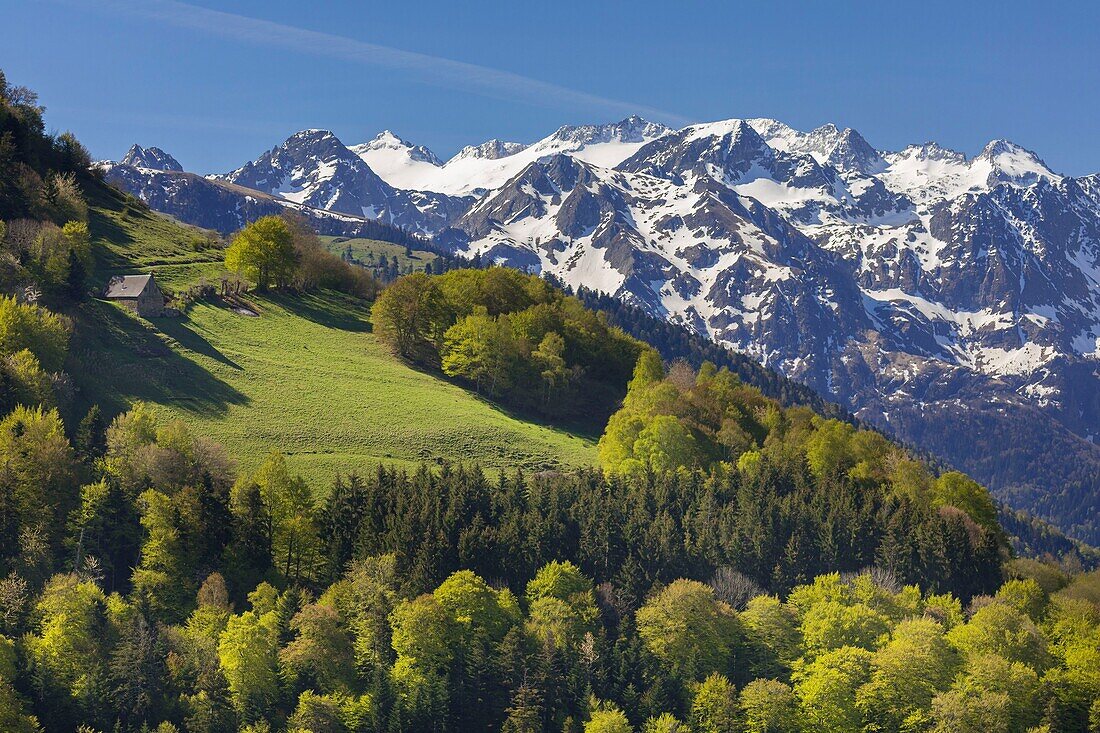Frankreich, Haute-Garonne, Artigue, Blick auf die Pyrenäen, überragt vom Gipfel des Aneto (3404 m)