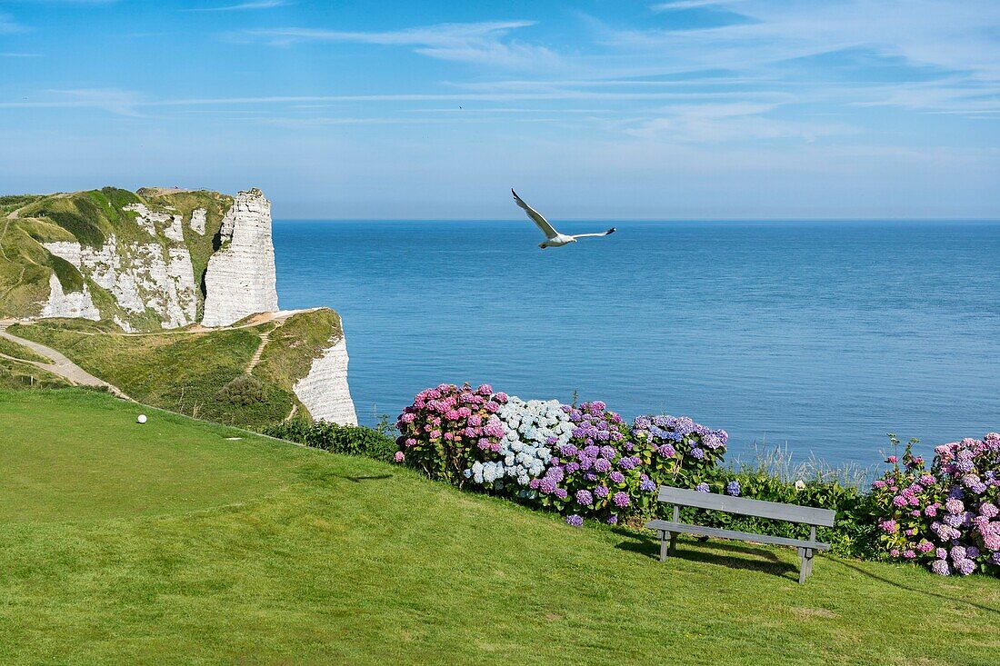 Frankreich, Seine Maritime, Etretat, Cote d'Abatre, der Golf